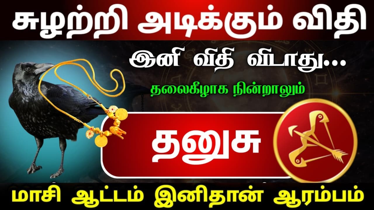 மாசி மாத ஆட்டம் இனிமேல் தான் ஆரம்பம் சுழற்றி அடிக்கும் விதி தனுசு ராசிக்கு !