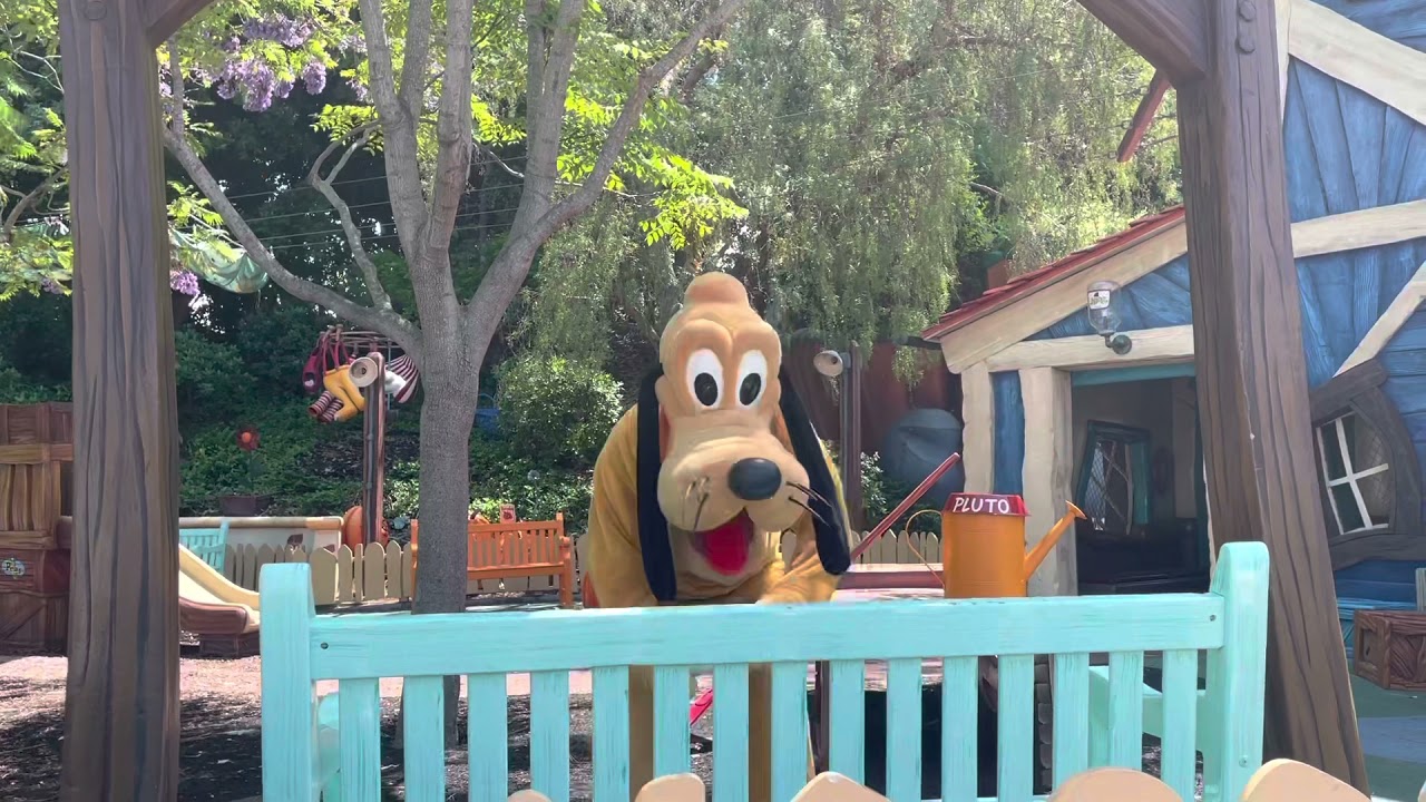 PLUTO doing tricks with his bone! // Disneyland