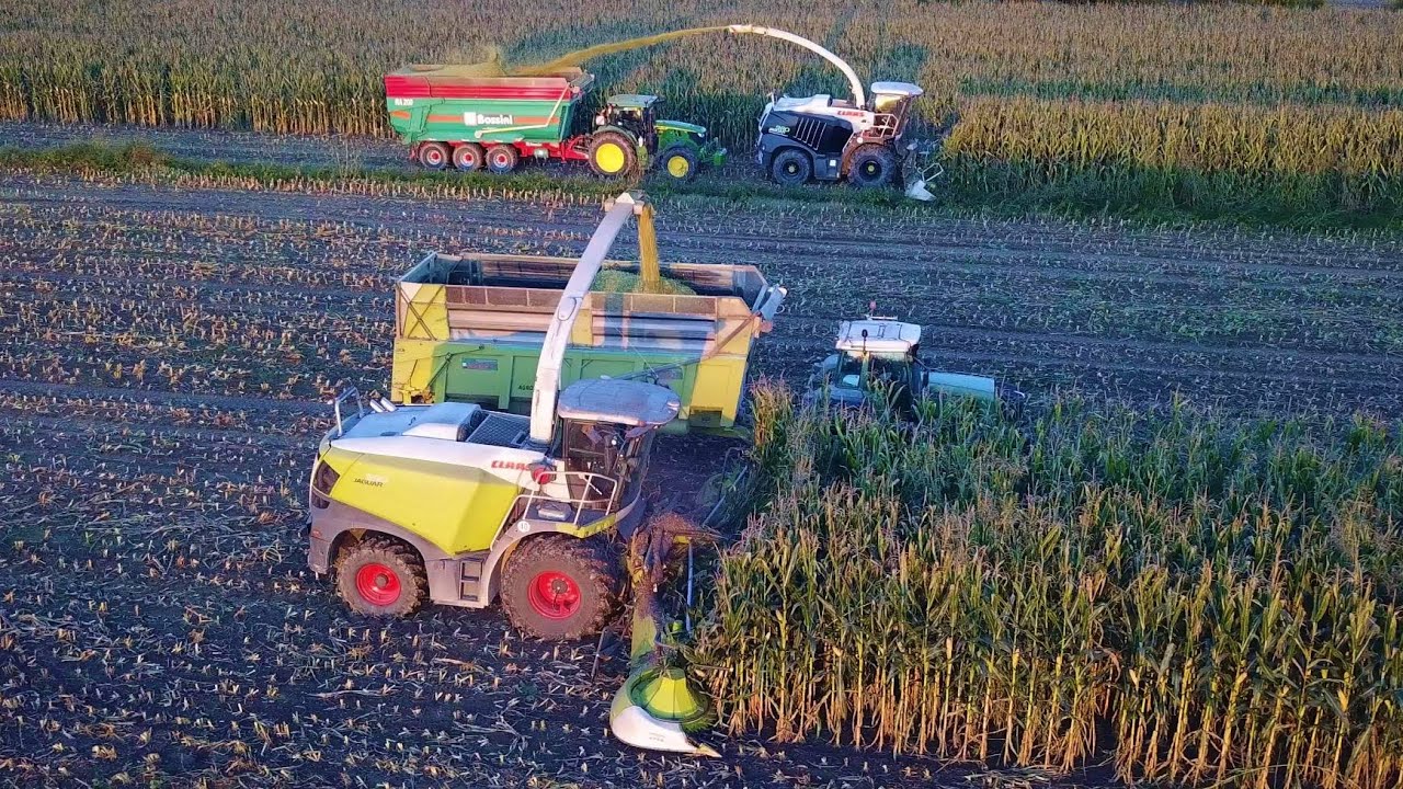 Claas Jaguar 980 & 990 | Trinciatura Mais 2025 | Agrotecnica Fraron