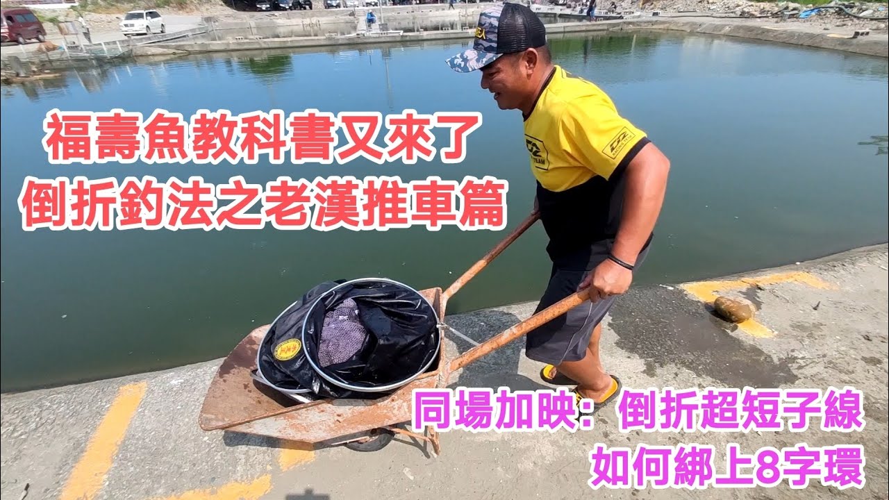 【福壽魚之章】福壽魚教科書之倒折釣法信號篇，釣到需要老漢推車了！同場加映：倒折釣法超短子線，如何綁上8字環