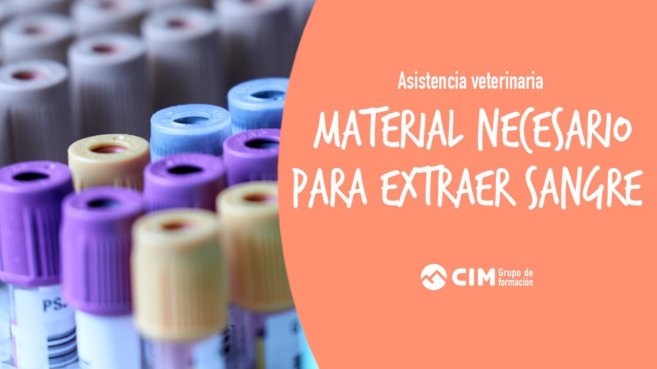 Material veterinario para la extracción de sangre | CIM Formación