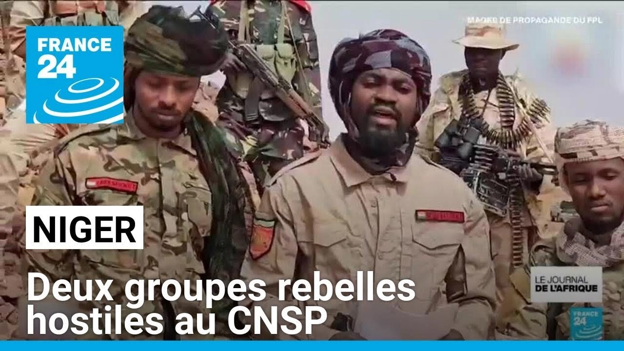 Niger : deux groupes rebelles hostiles au Conseil national pour la sauvegarde de la patrie (CNSP)