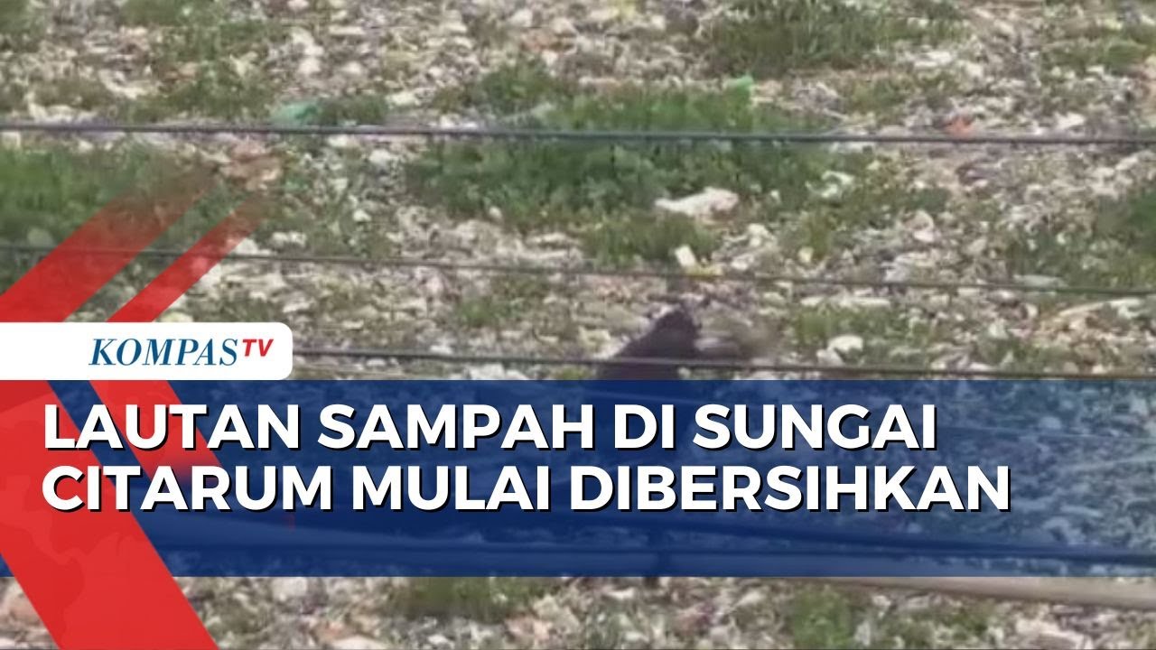 Beginilah Kondisi Sungai Citarum Tertutup Sampah Plastik dan Eceng Gondok