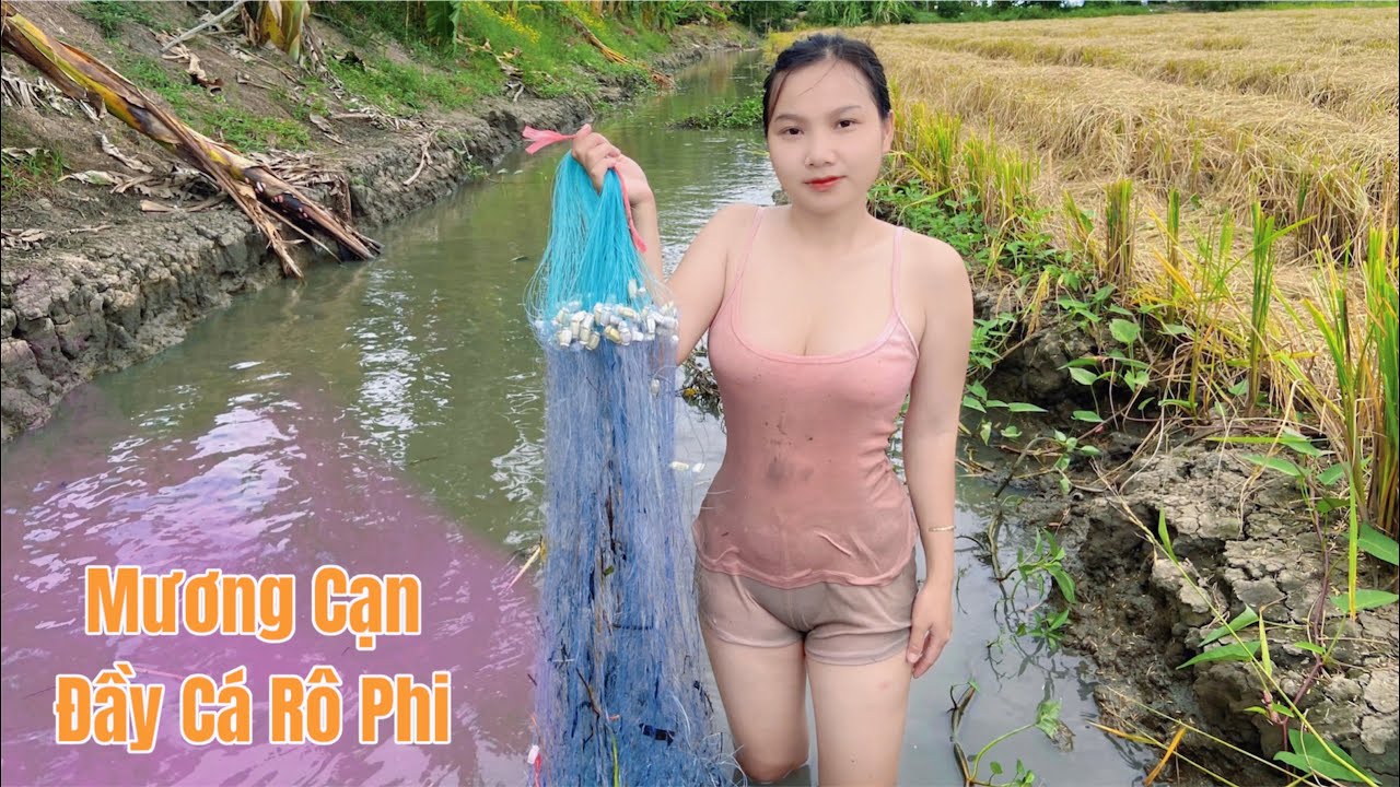 Giăng Lưới Ở Mương Cạn Trúng Mành Bầy Cá Phi Thay Nhau Đâm Đầu Vào Lưới | TTMT#101
