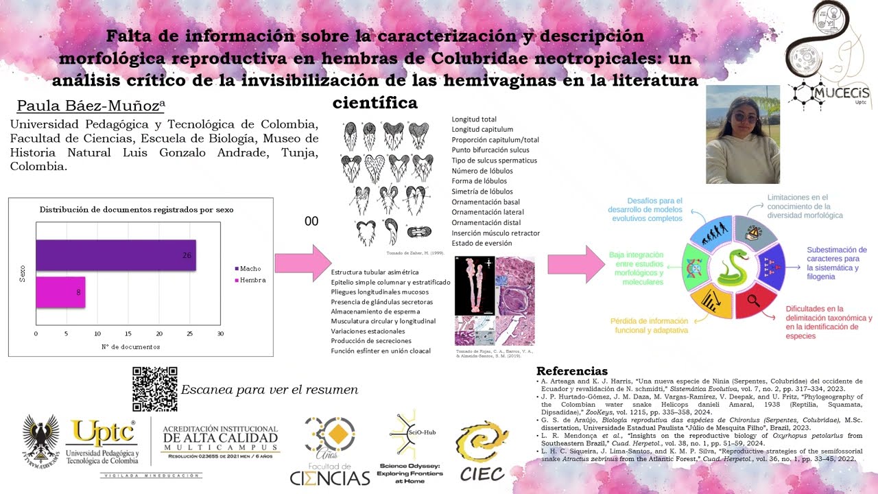 B15. Caracterización y descripción morfológica reproductiva en hembras de Colubridae neotropicales
