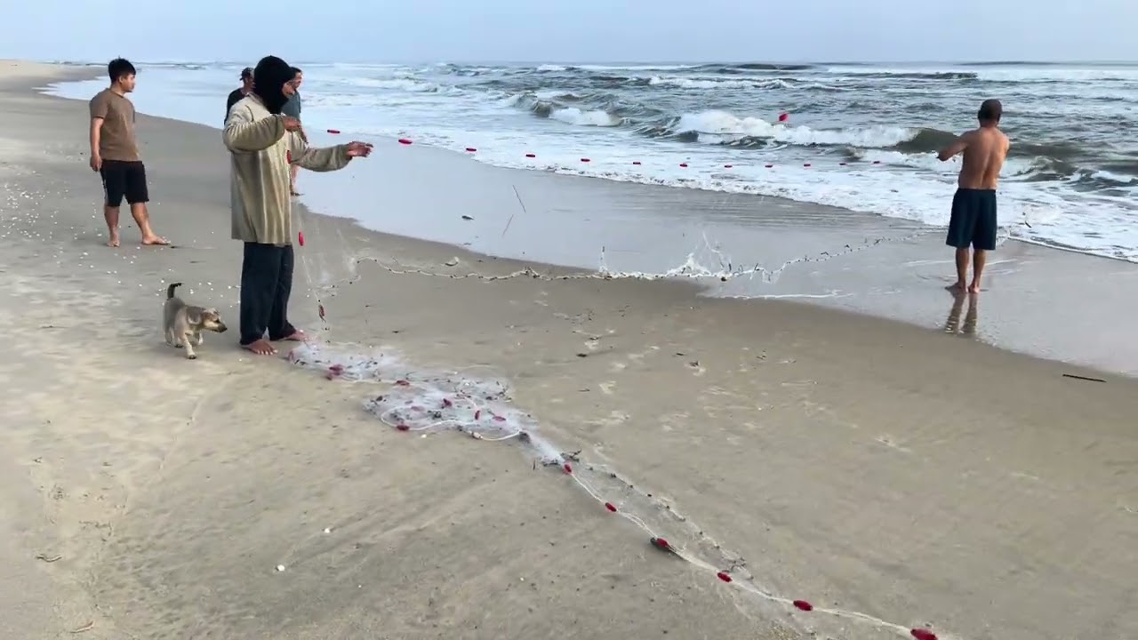 Kéo lưới cá ở bãi biển Tam Thanh - Tam Kỳ