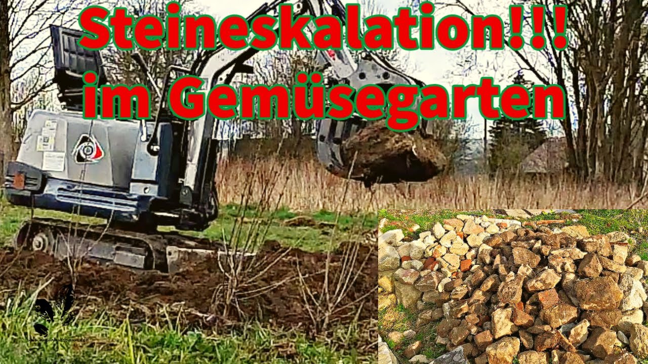 Voller Einsatz mit Jansen Bagger MB2000, Raupendumper und Jansen Einachser MGT420- Beete herrichten