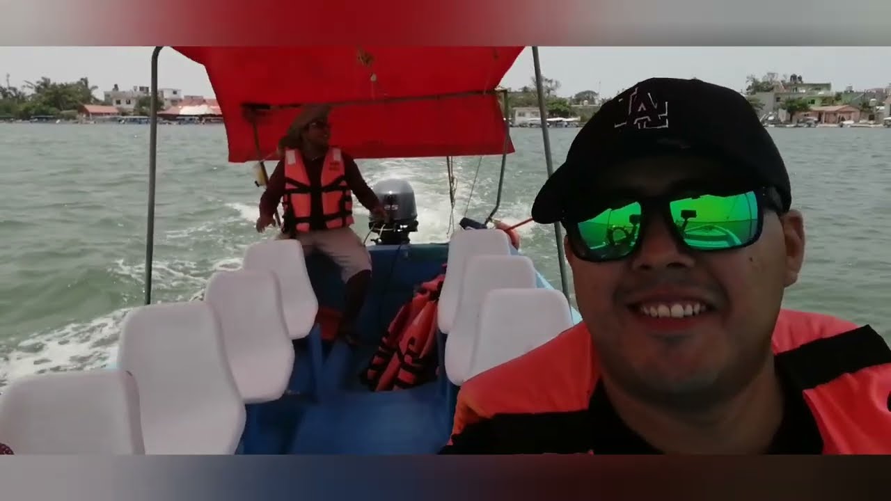 Manglares de Veracruz ! vimos cocodrilos, tortugas y cangrejos araña 😍🐊🐢🦀