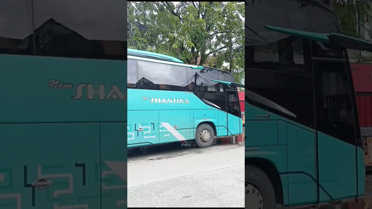 Warnanya cantik banget armada bus new shantika terbaru all new avante h8 single glass 