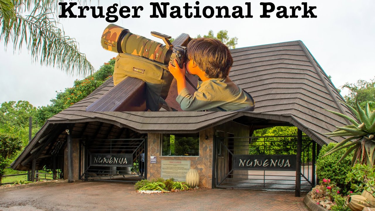 Ep 46 Ngwenya Game Lodge overlooking Kruger National Park | Hides of the lodge