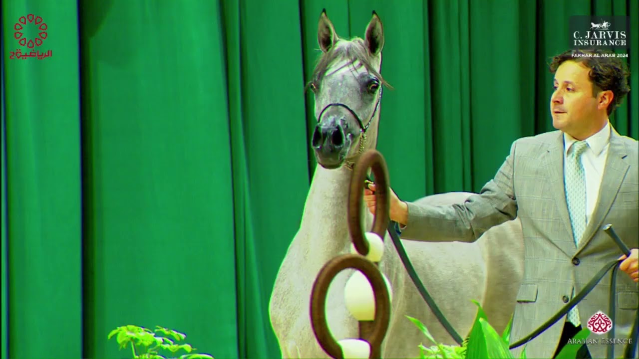 N 2 AJEEBA AL GHANAYIM   Fakhar Al Arab 2024   Yearling Fillies Class 1A