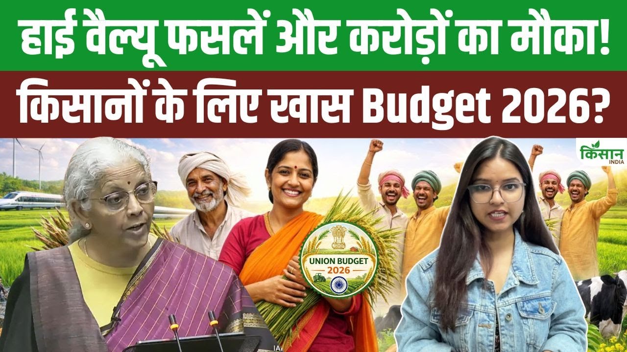 Budget 2026 | हाई वैल्यू फसलें और करोड़ों का मौका! किसानों की आय बढ़ाने का पूरा प्लान! | Agri Budget