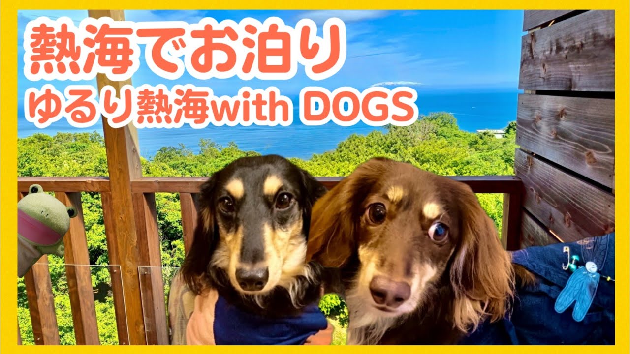 【ゆるり熱海with DOGS】1日1室限定の海が見えるお部屋で愛犬と一緒にお部屋でお食事が出来る宿を紹介