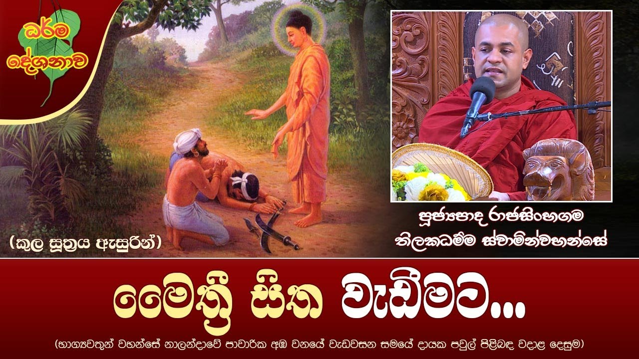 Ven Rajasinhagama Thilakadhamma Thero | 2022-11-10 | 12:30PM (මෛත්‍රී සිත වැඩීමට...)