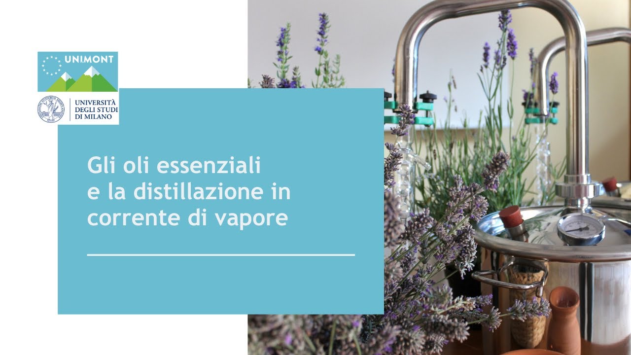 Gli oli essenziali e la distillazione in corrente di vapore
