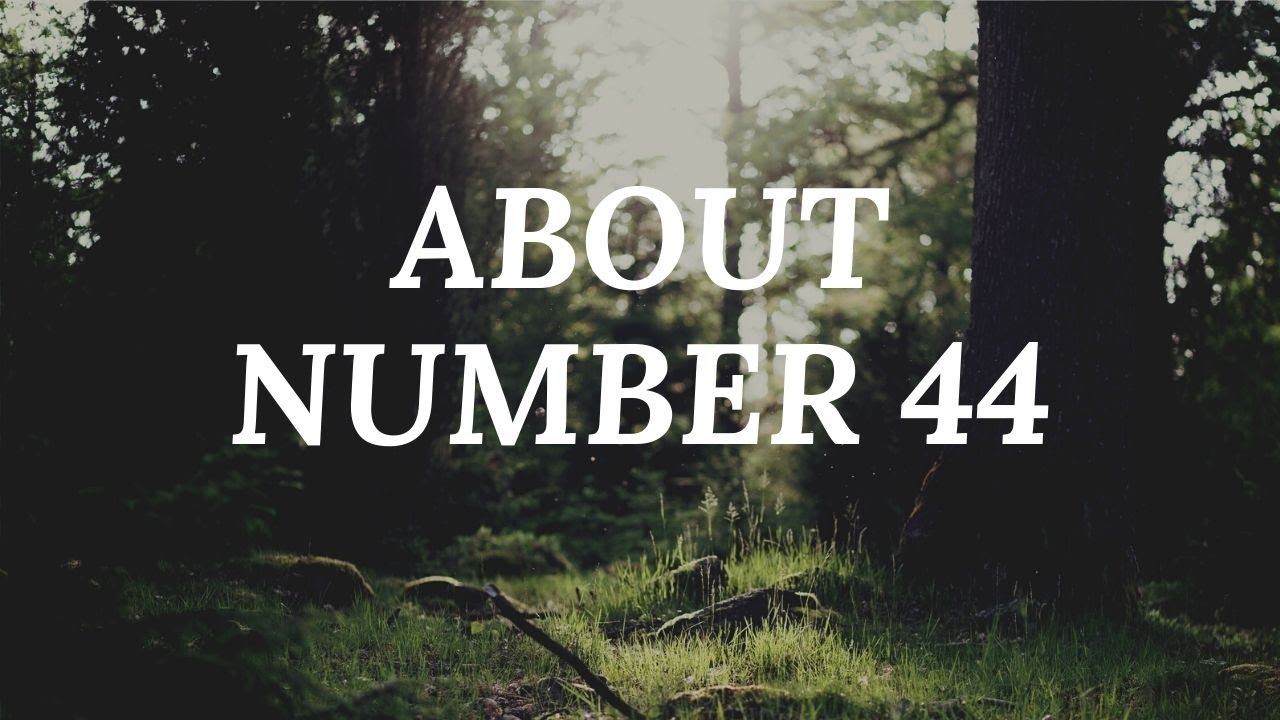 MASTER NUMBER 44- GINNI ANEJA