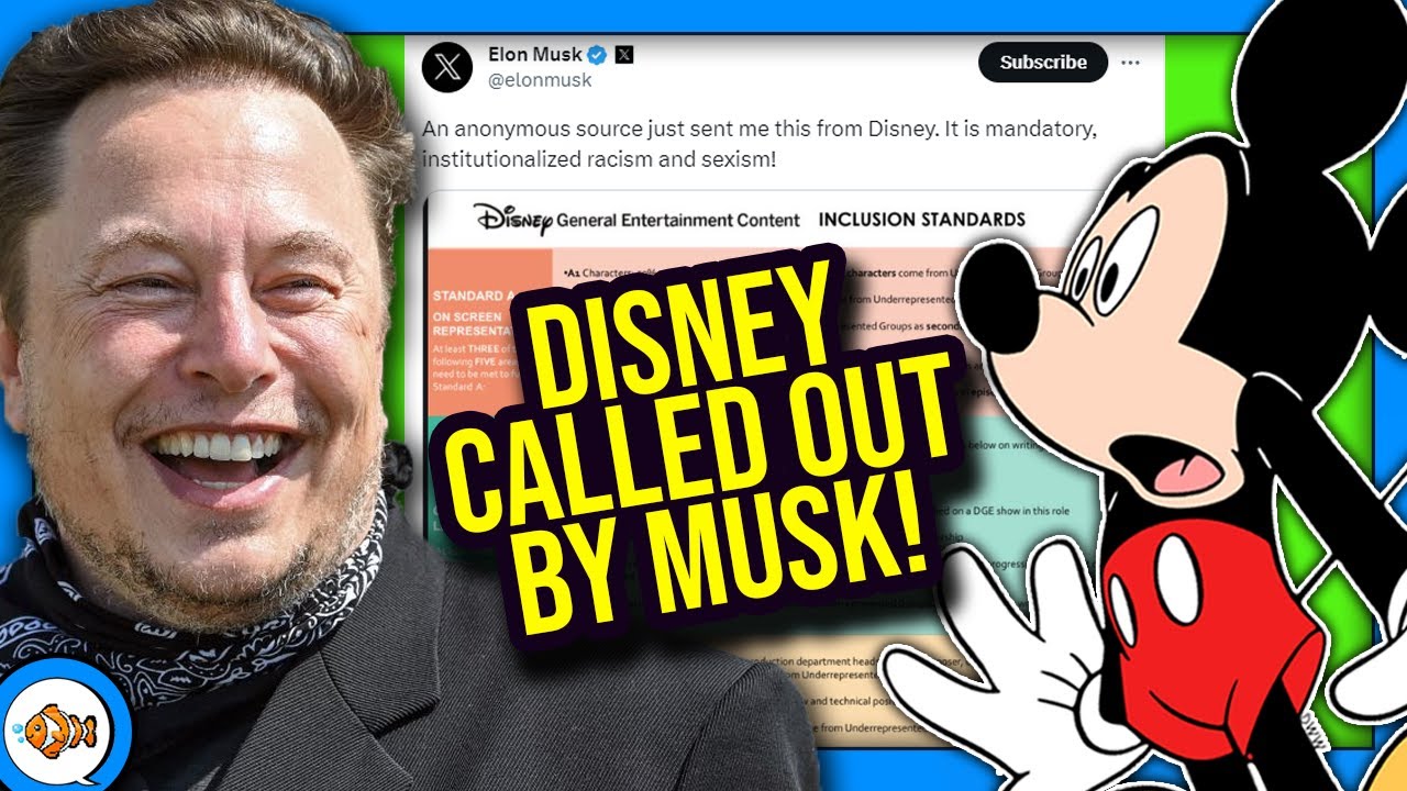 Disney DEI Hiring Practices BLASTED by Elon Musk on X!