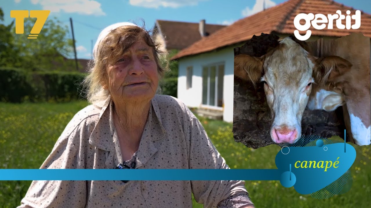 Nuk u bë nënë kurrë, 78-vjeçarja nga Lipjani ka vetëm një lopë | Canapé | T7