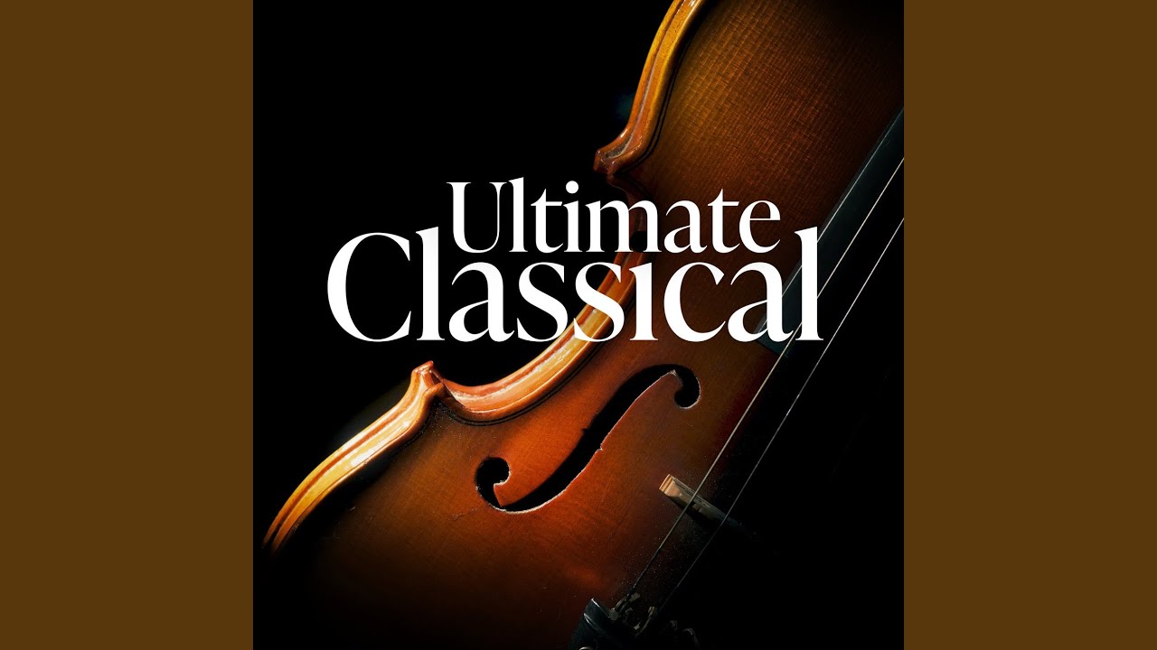 Violin Concerto in E Minor, Op. 64: I. Allegro molto appassionato