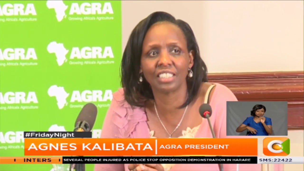 Former Ethiopian Prime Minister to head AGRA