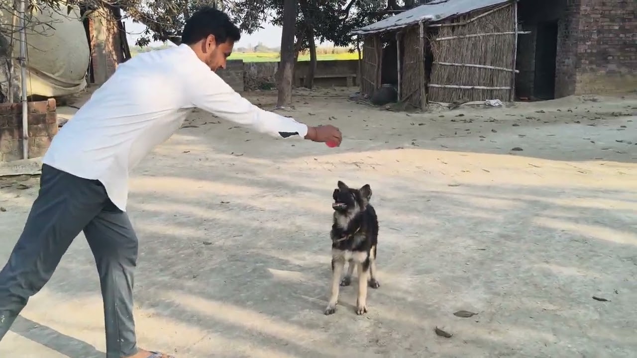 गब्बर दीदी और मेरे पतिदेव जी  की मस्ती😍🥰😜😂😂###@@वायरल वीडियो ####