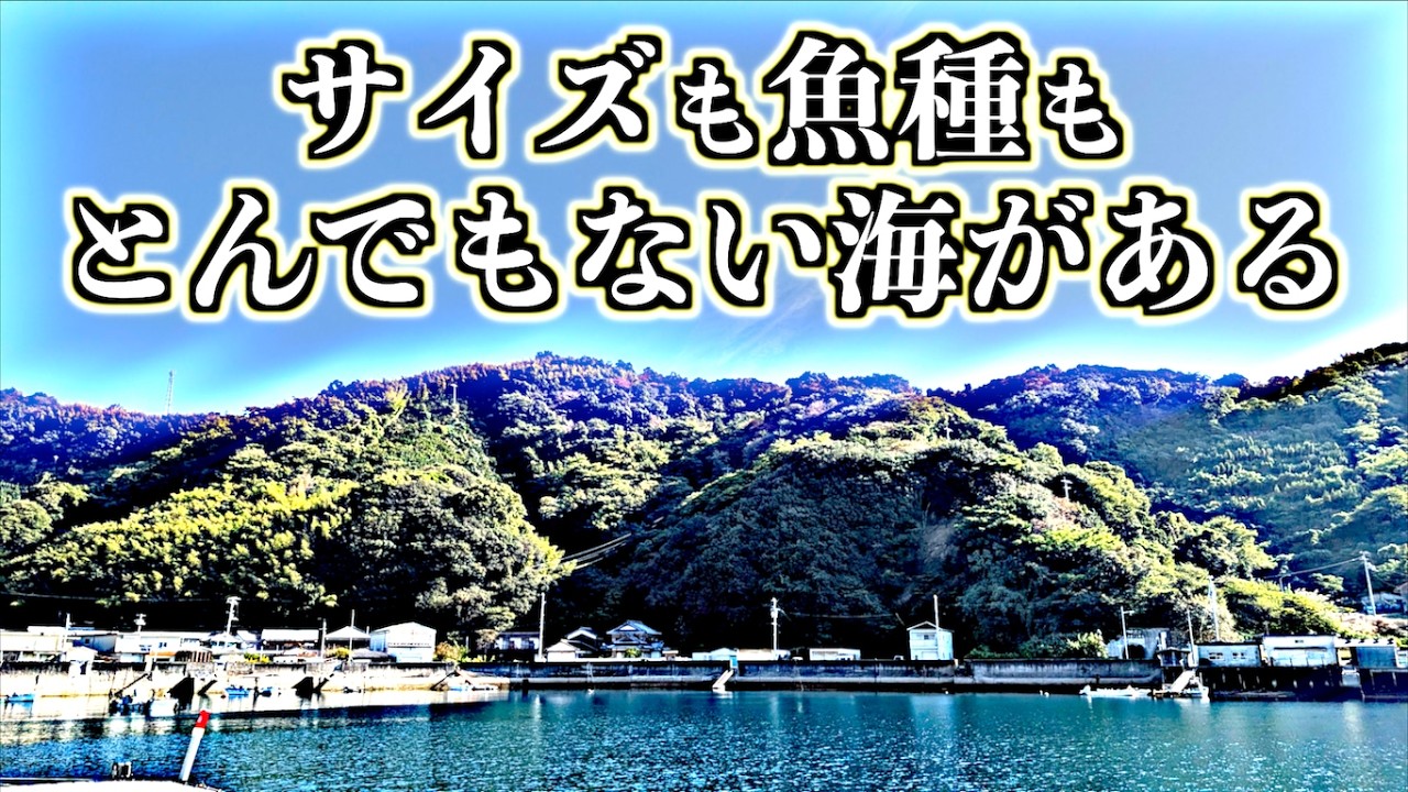 第410話【愛媛の海えぐい】いやいやそんなサイズも魚種も見た事ない!何だこの海は!の巻!