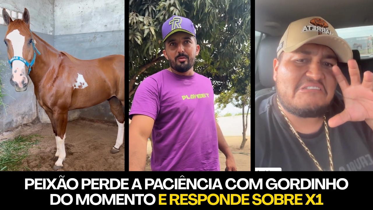 PEIXE RESPONDE A DESAFIO DE GORDINHO DO MOMENTO COM FRANQUEZA E O CLIMA ESQUENTOU - CONFIRA