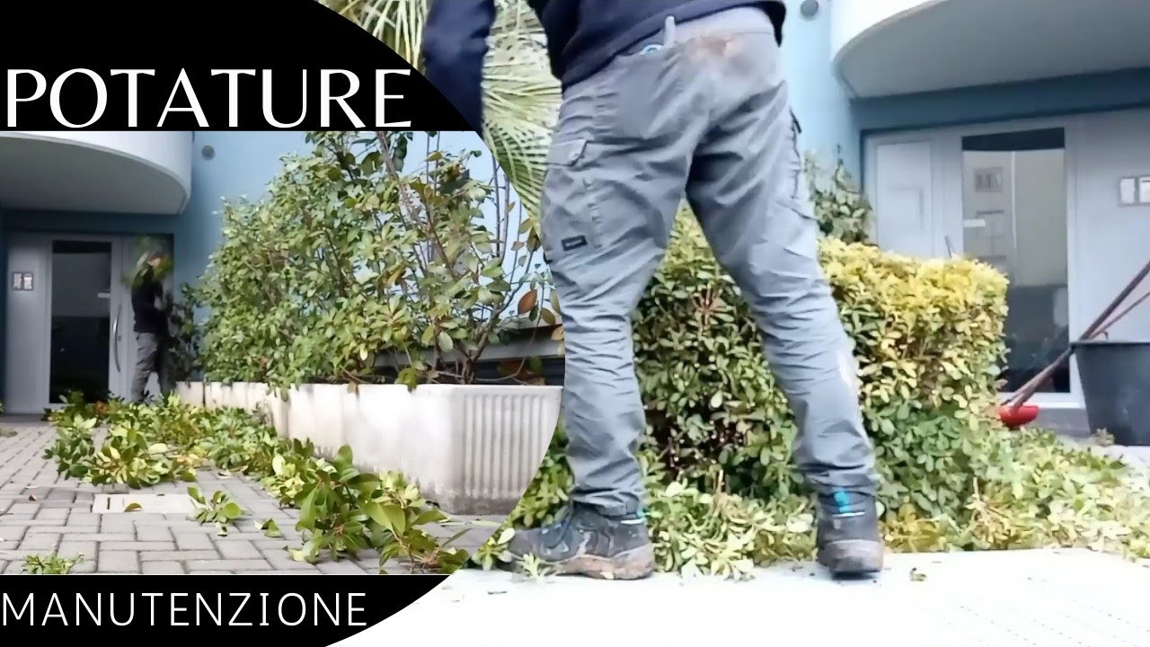 POTATURE ARBUSTI SIEPI