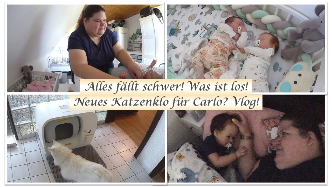Alles fällt schwer! |Luca kuschelt! |Furbulous Box! || Reborn Baby Deutsch || Little Reborn Nursery