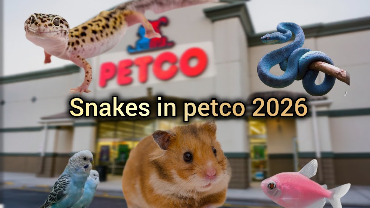 🐊🐢🐍🐭🐱🐰🐦🐙🦀🦑🦂🐾Petco#shopping #animals
