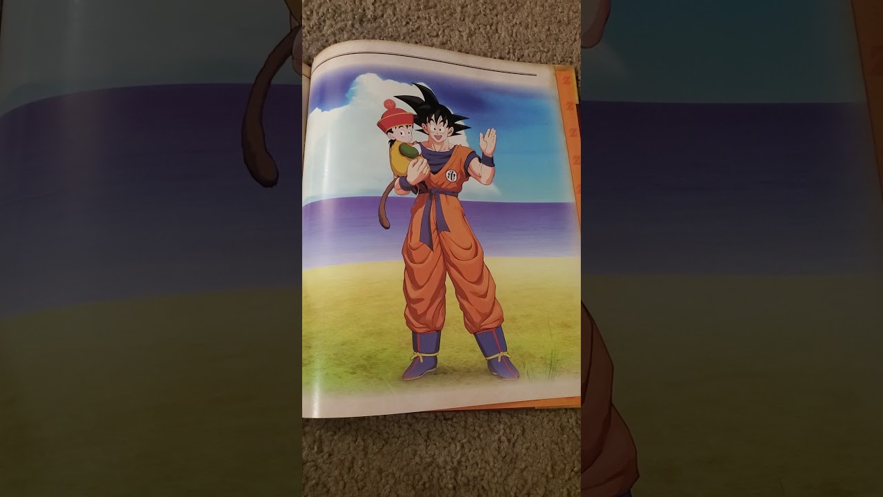 Better look into the dbz collector's edition