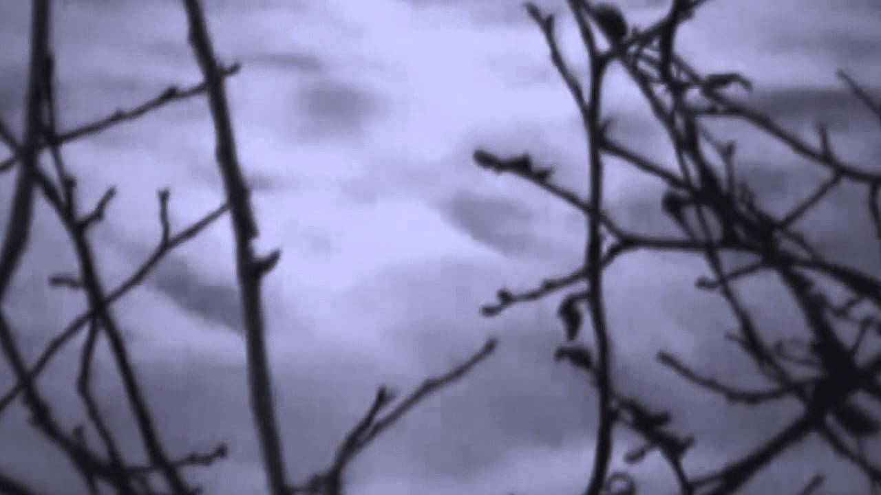 Chris Rea - - She Closed Her Eyes