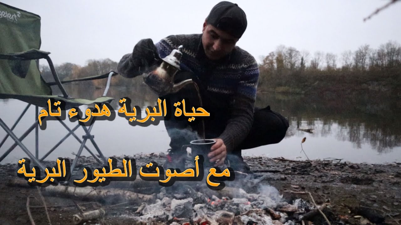 يوم كامل في غابات 🌳 بلجيكا 🇧🇪