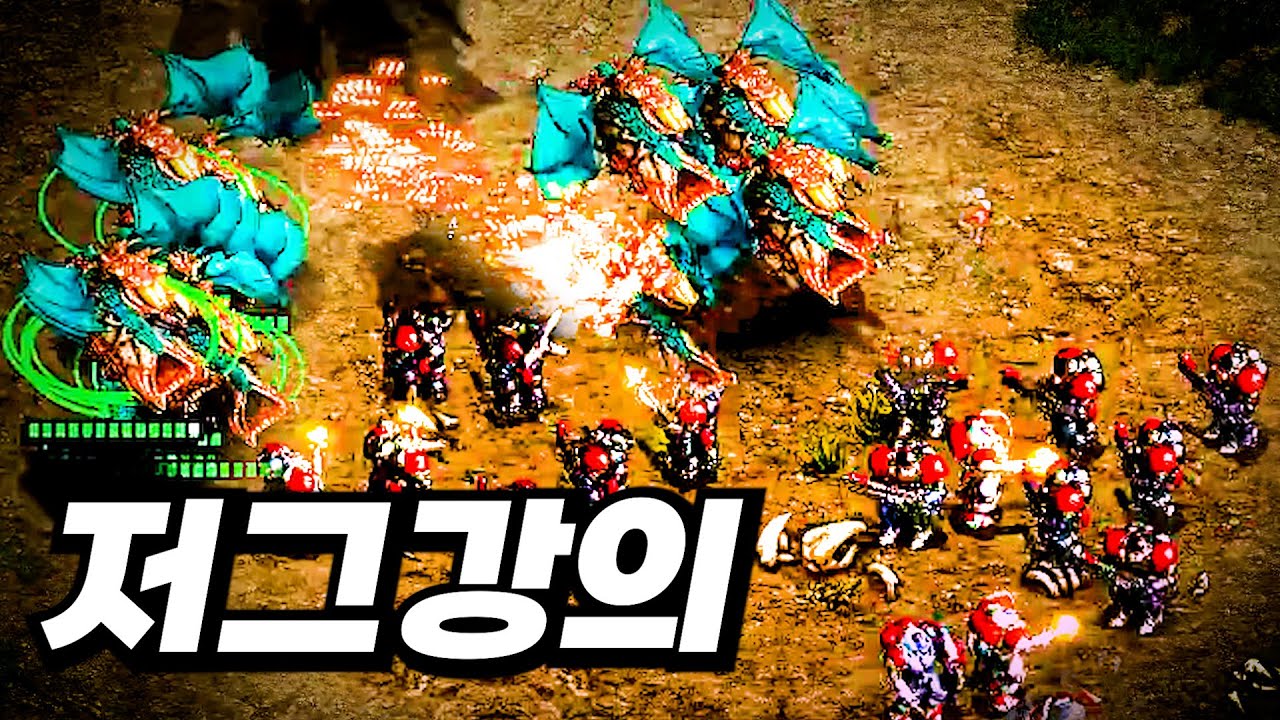 섬세한 저그강의