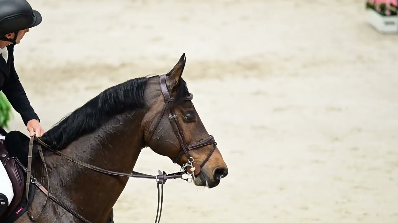 Richard Vogel & United Touch S (Untouched - Lux Z) Dutch Masters 2026