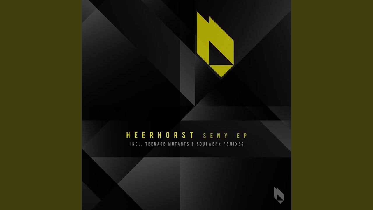 Seny (Teenage Mutants Remix)