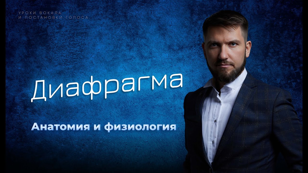 Диафрагма | Анатомия и физиология