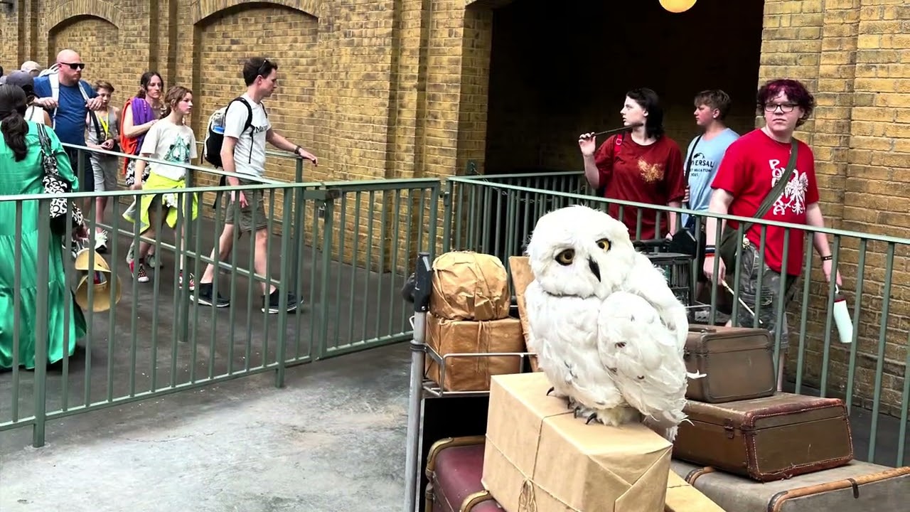 Harry Potter Day