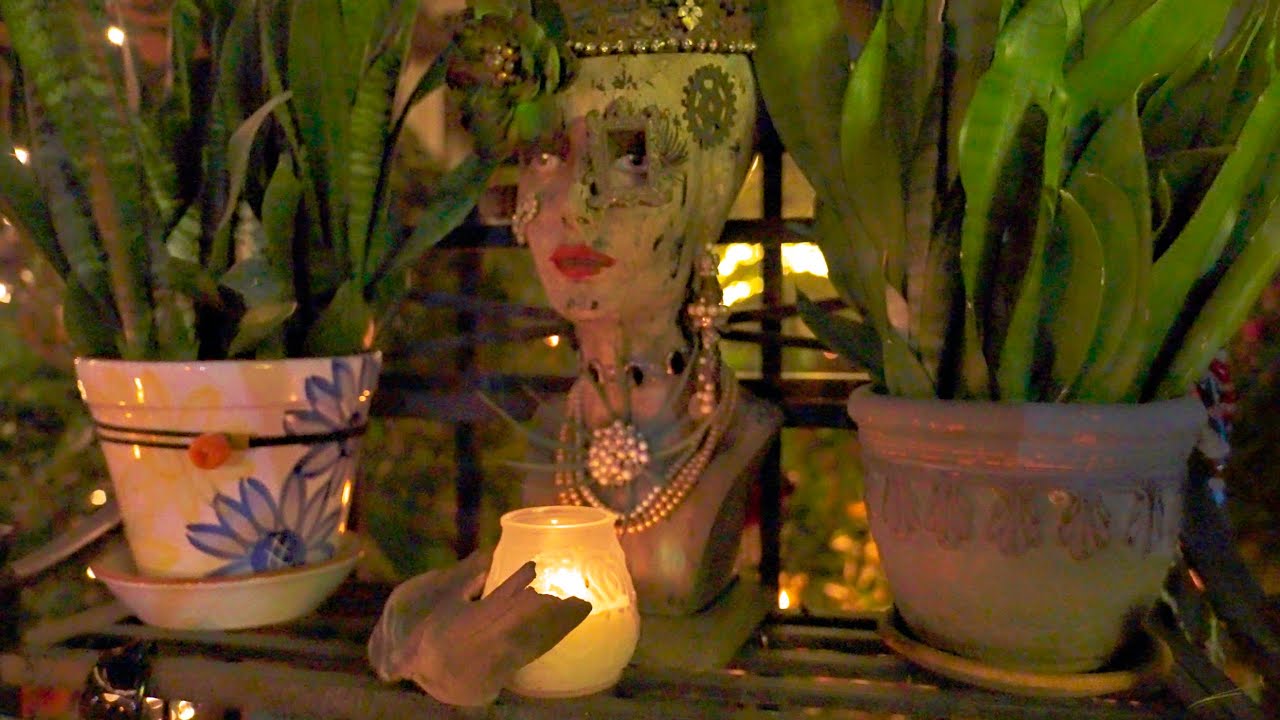 Her midnight wonderland backyard explored