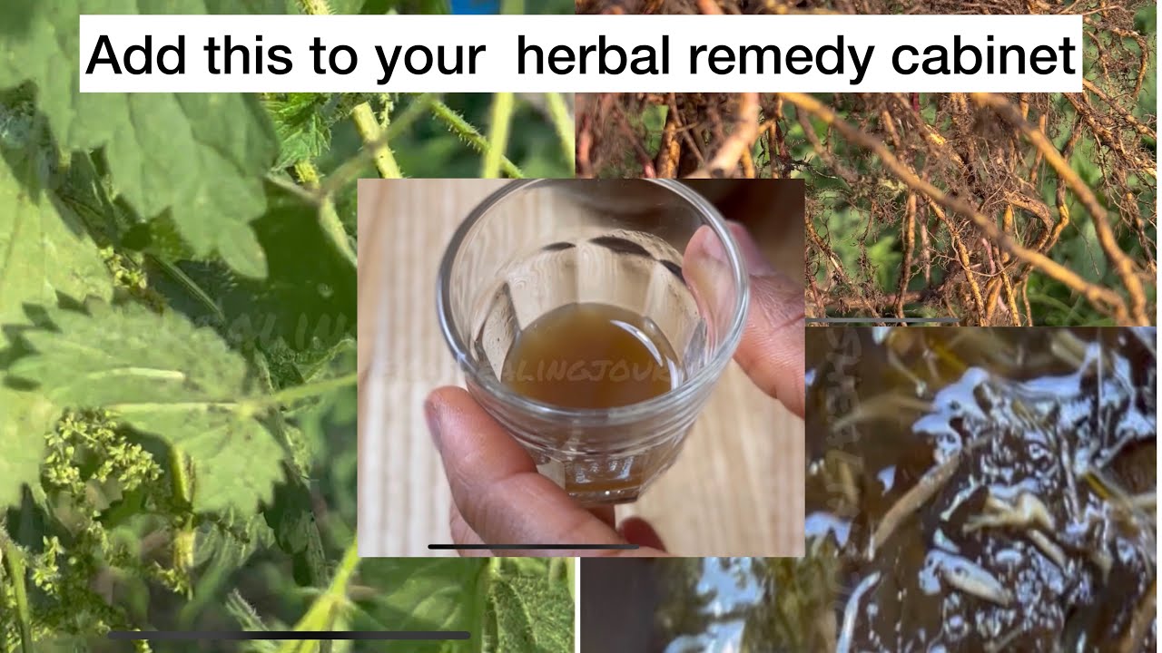 NETTLE ROOT, LEMON BALM AND DANDELION FLOWER TINCTURE/ELIXIR