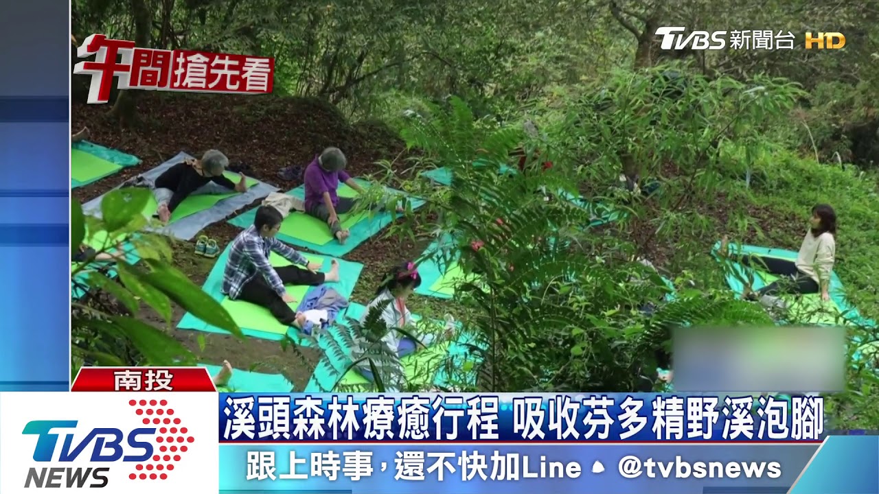 溪頭森林療癒行程 吸收芬多精野溪泡
