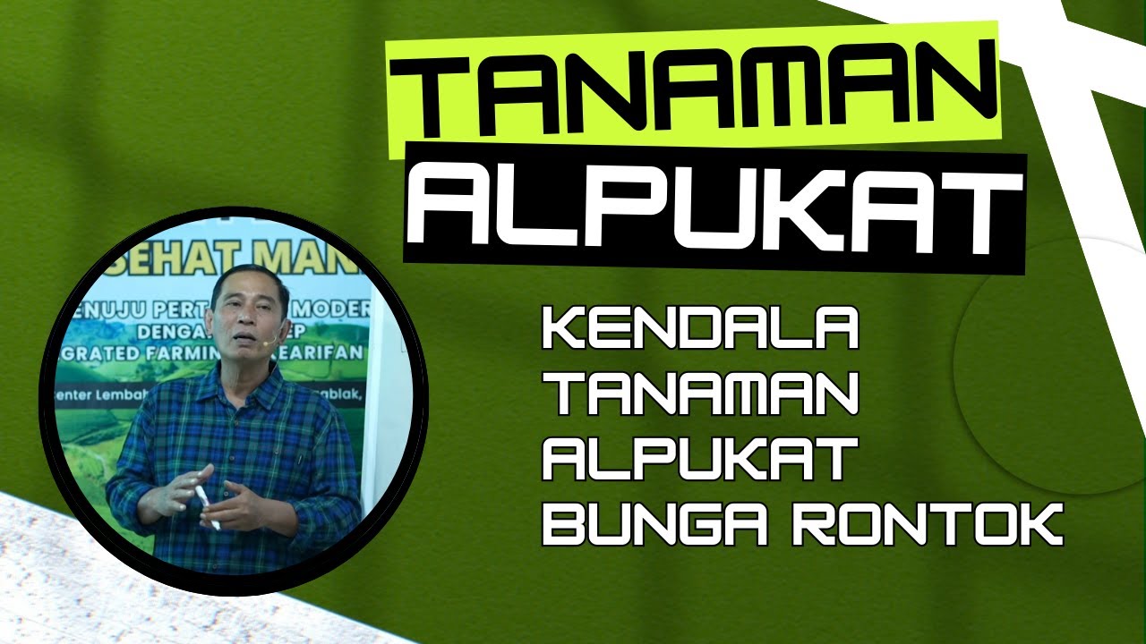 Bayu Diningrat ~ KENDALA TANAMAN ALPUKAT BUNGA RONTOK