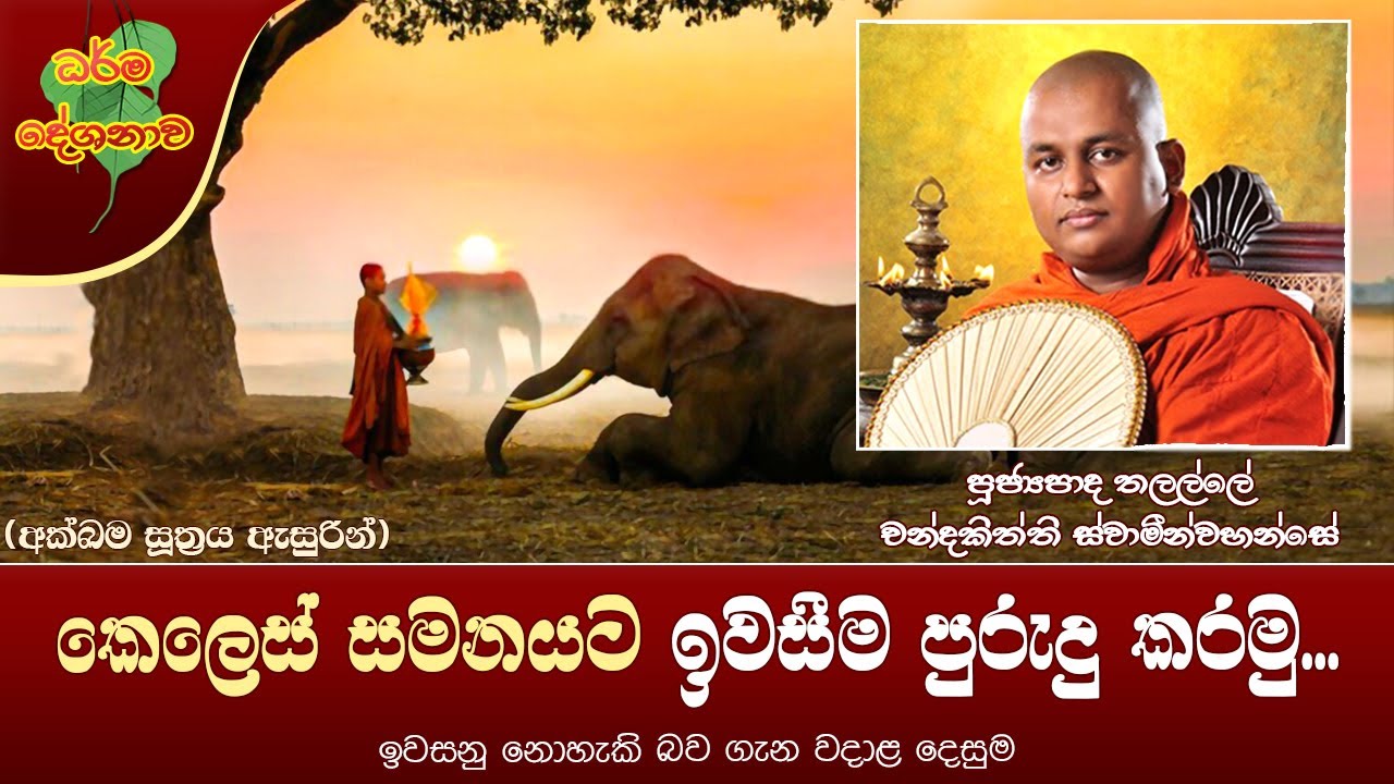 Ven Thalalle Chandakitthi Thero | 2022-08-08 | 10:00 AM (කෙලෙස් සමනයට ඉවසීම පුරුදු කරමු...)