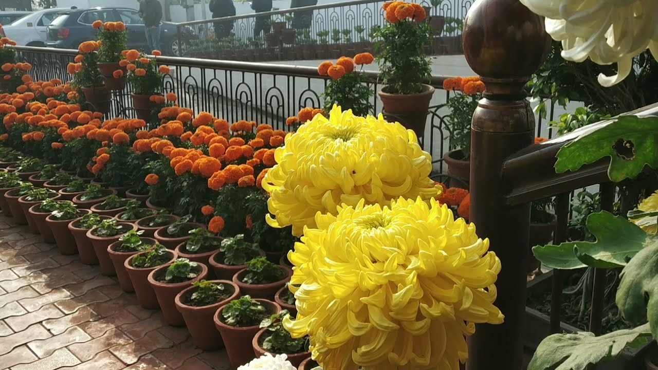 Delhi to Haridwar | Road trip