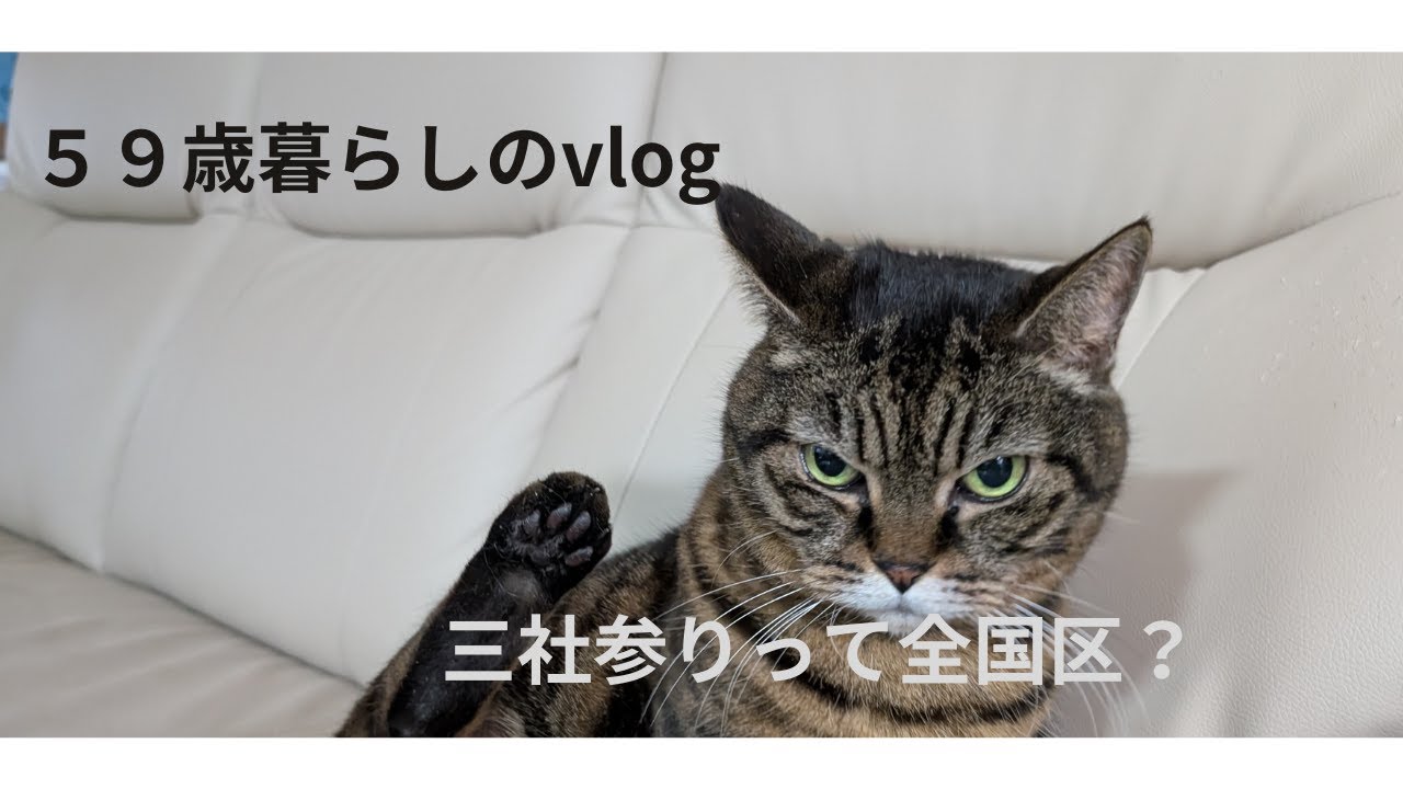 ＜59歳暮らしのvlog＞＃28 せいろで蒸す肉まん/水田天満宮参拝/三社参りとは/ティアさんの後ろ足　#せいろ蒸し 　#無印良品　#水田天満宮