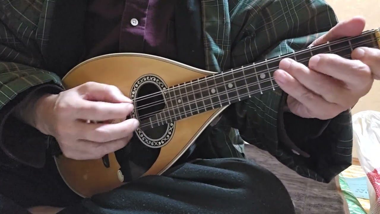 Espinha de Bacalhau/Severino Araujo/マンドリン(mandolin)