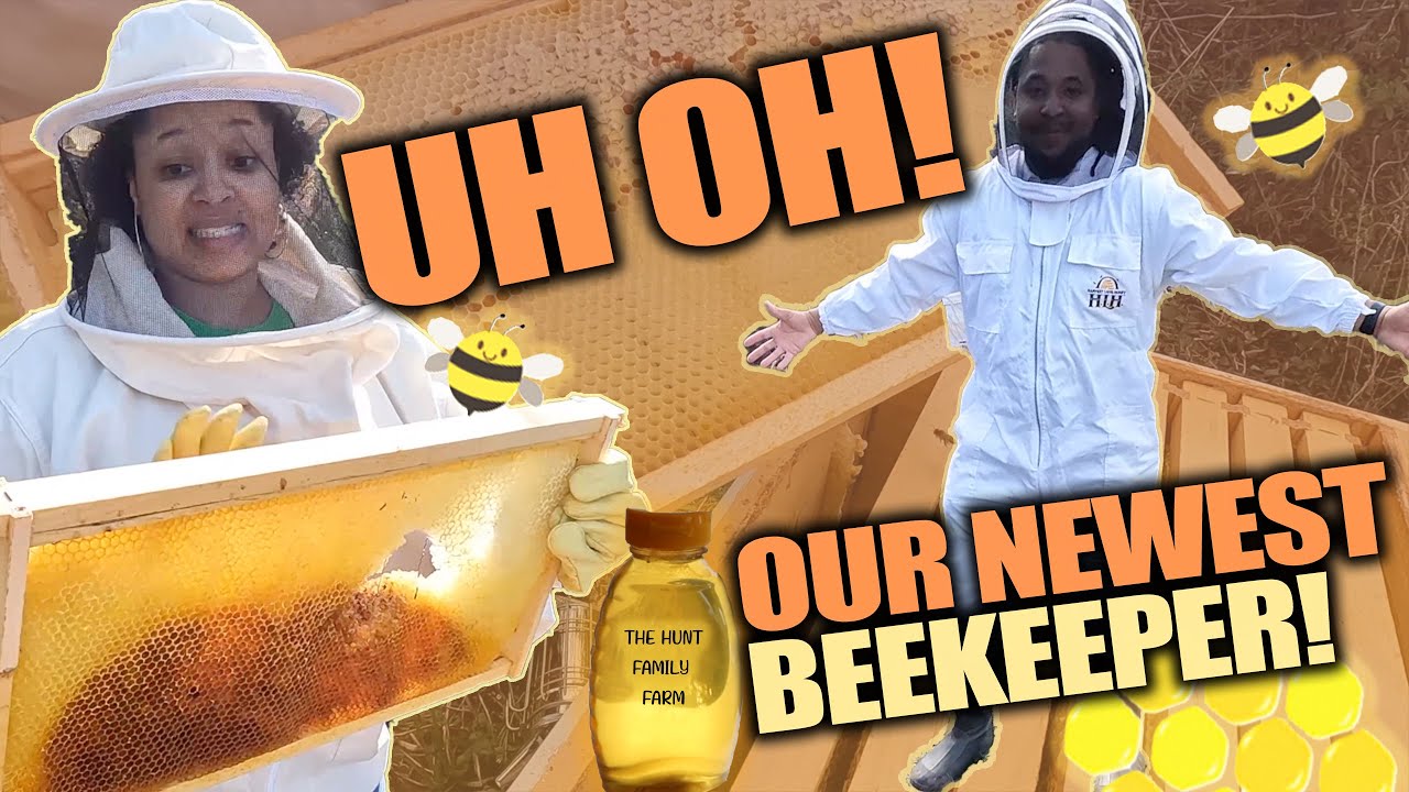 Beekeeping at our North Carolina Apiary - How we maintain our BEES and produce HONEY!