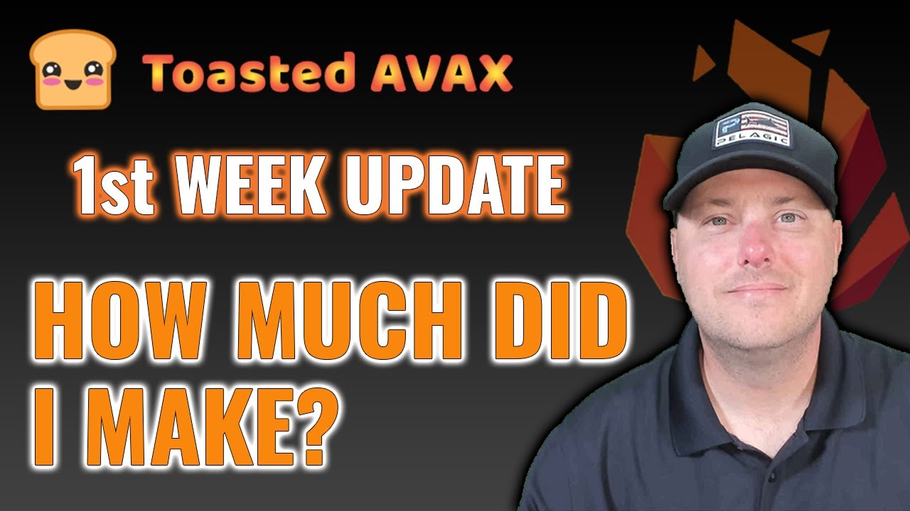 Toasted Avax - New Baked Beans Miner Project First Week Update How Much I Made - Re-Toast Calculator