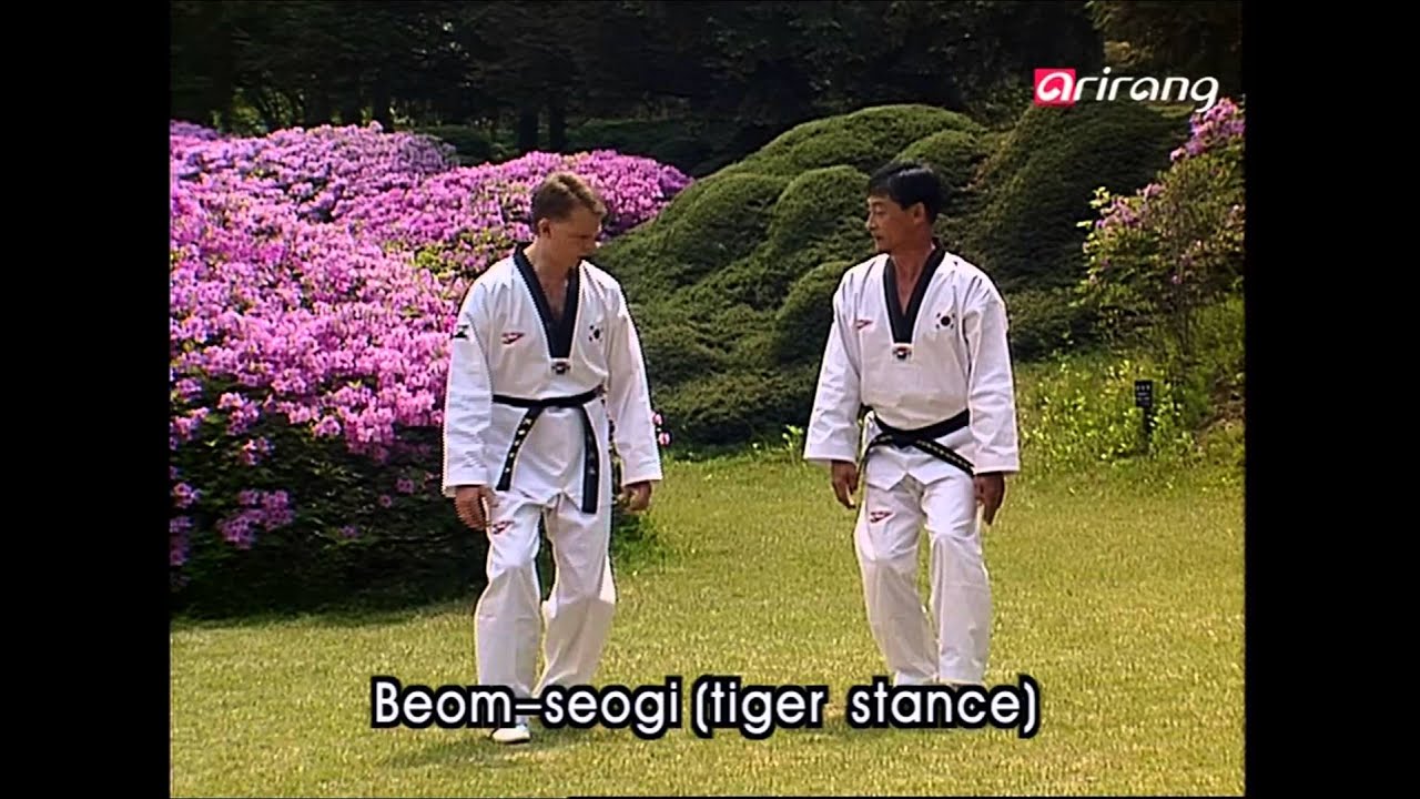 Taekwondo Step by Step Ep016 Beomseogi 범서기 Moaseogi 모아서기 Dwichuk moaseogi 뒤축 모아서기