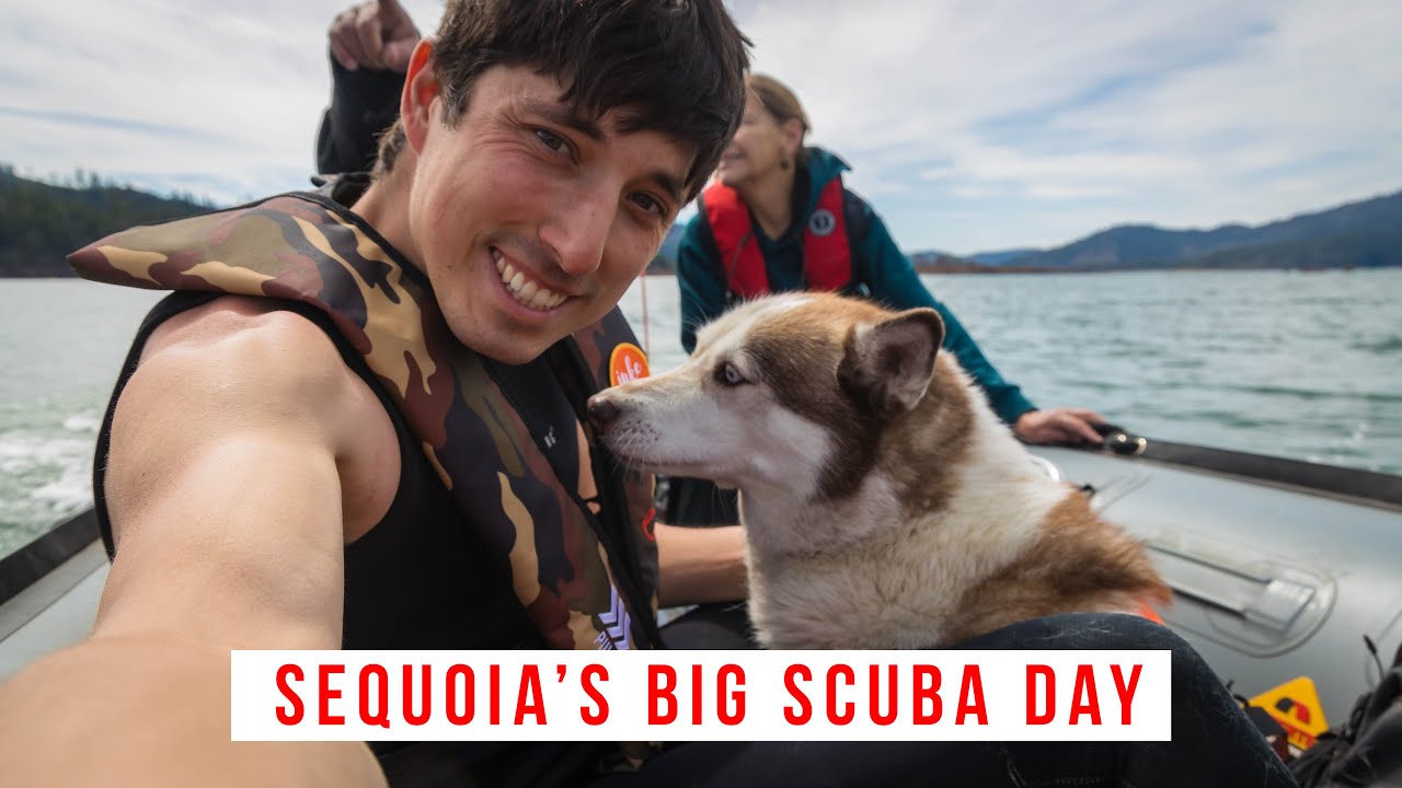 Sequoias Big Scuba Day! (Recovery Update)
